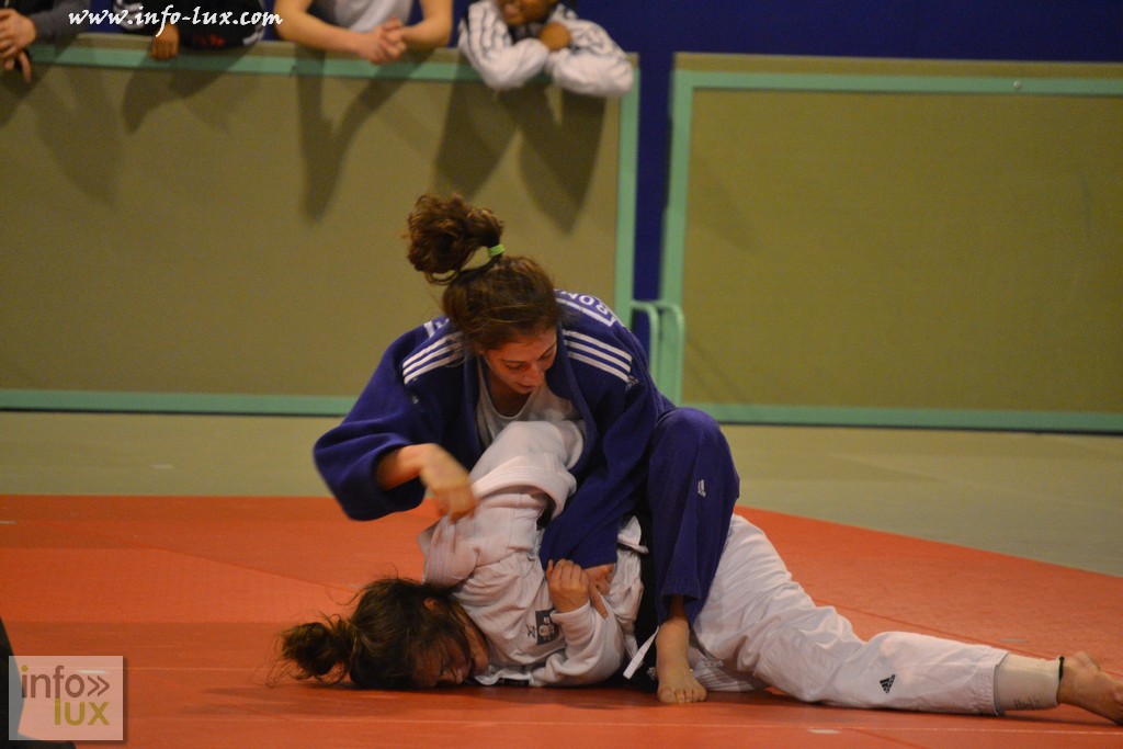 infolux-judot045