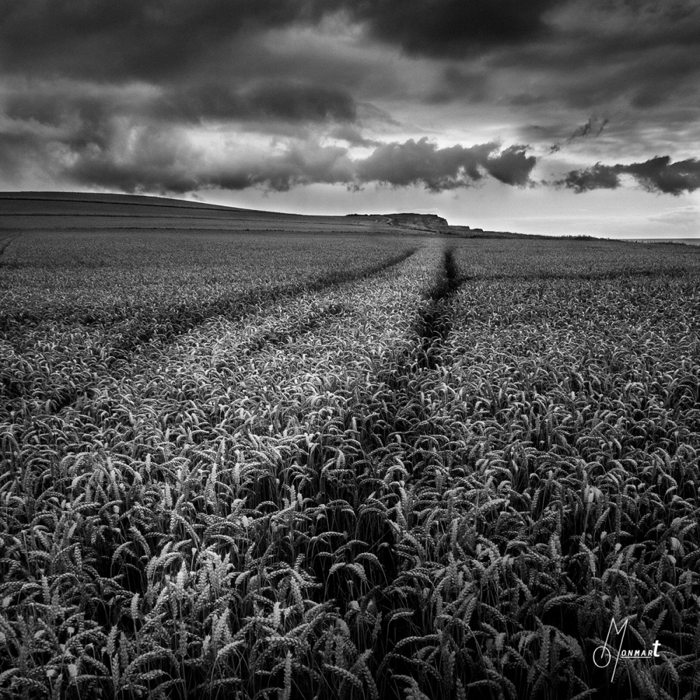 Portrait de Olivier MONMART  PHOTOGRAPHE de Virton