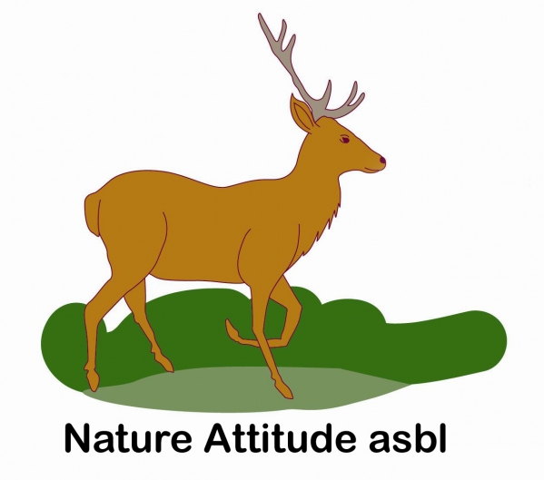 Logo nature attitude