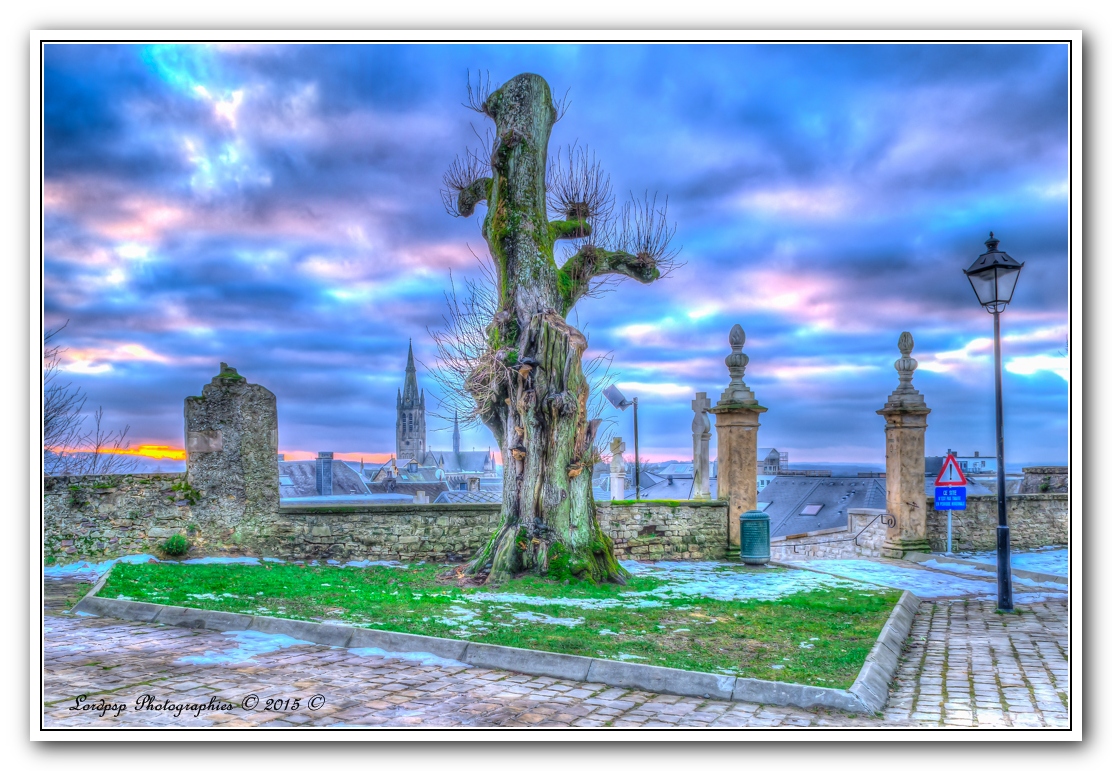 images/PORTRAITS/Arlon/lordpsp/DSC_0062_3_4_5_6