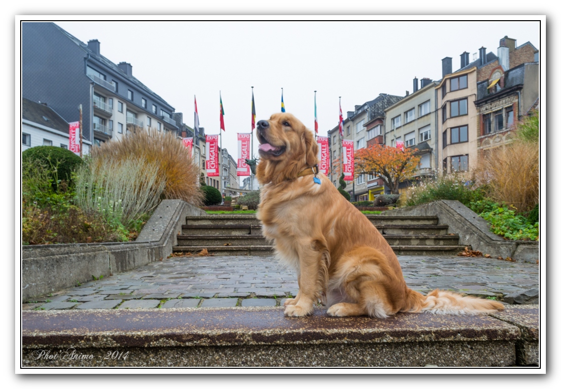 images/PORTRAITS/Arlon/lordpsp/DSC_0574