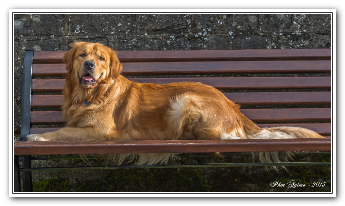 images/PORTRAITS/Arlon/lordpsp/DSC_1035