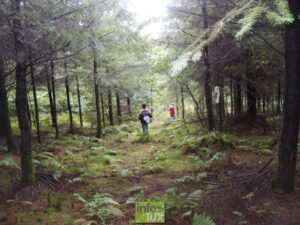 stages Natures Neufchateau