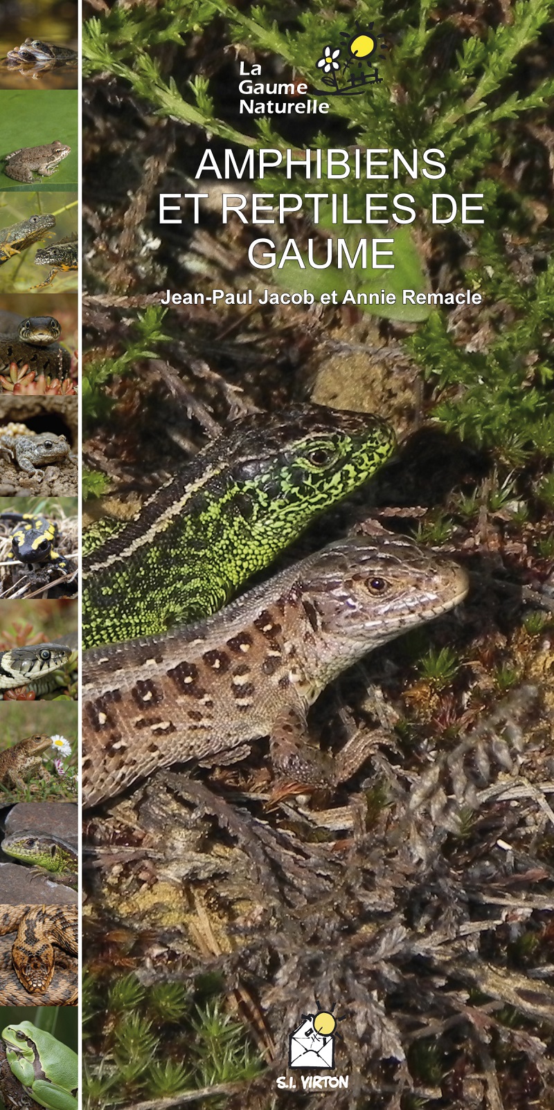 Les amphibiens et reptiles de Gaume, un livre, une expositionà Virton