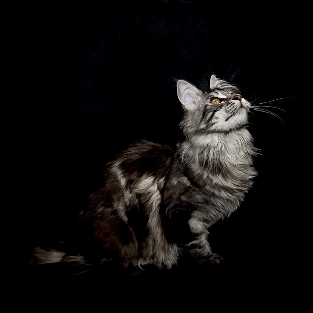 Exposition photos à Arlon