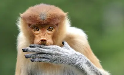 SOIRÉE FESTIVAL INTERNATIONALNATURE NAMUR au Centre culturel de Libramont-Chevigny asbl