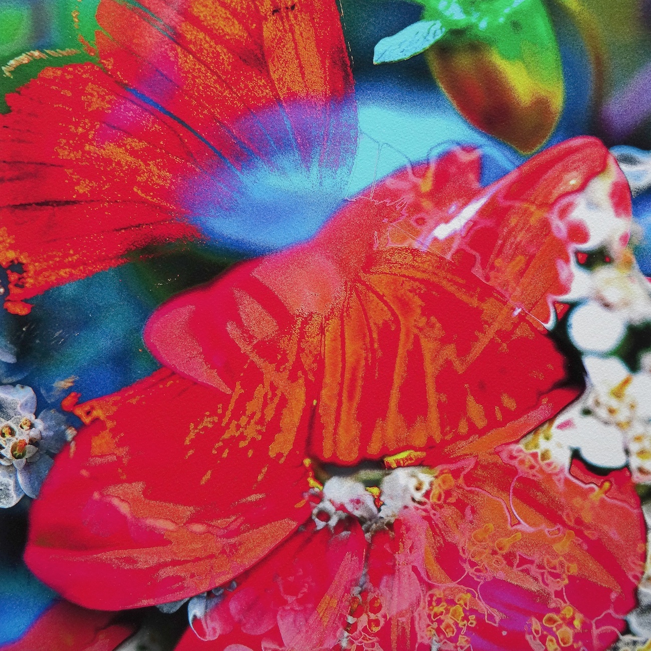 Exposition photos à Arlon