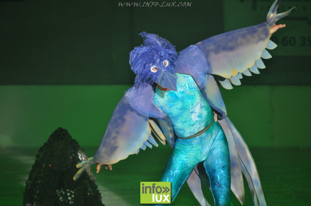 photos Spectacle de Reine des Glace à Bertrix 2015