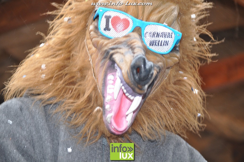 images/stories/PHOTOSREP/Virton/carnaval2016a/virton00194