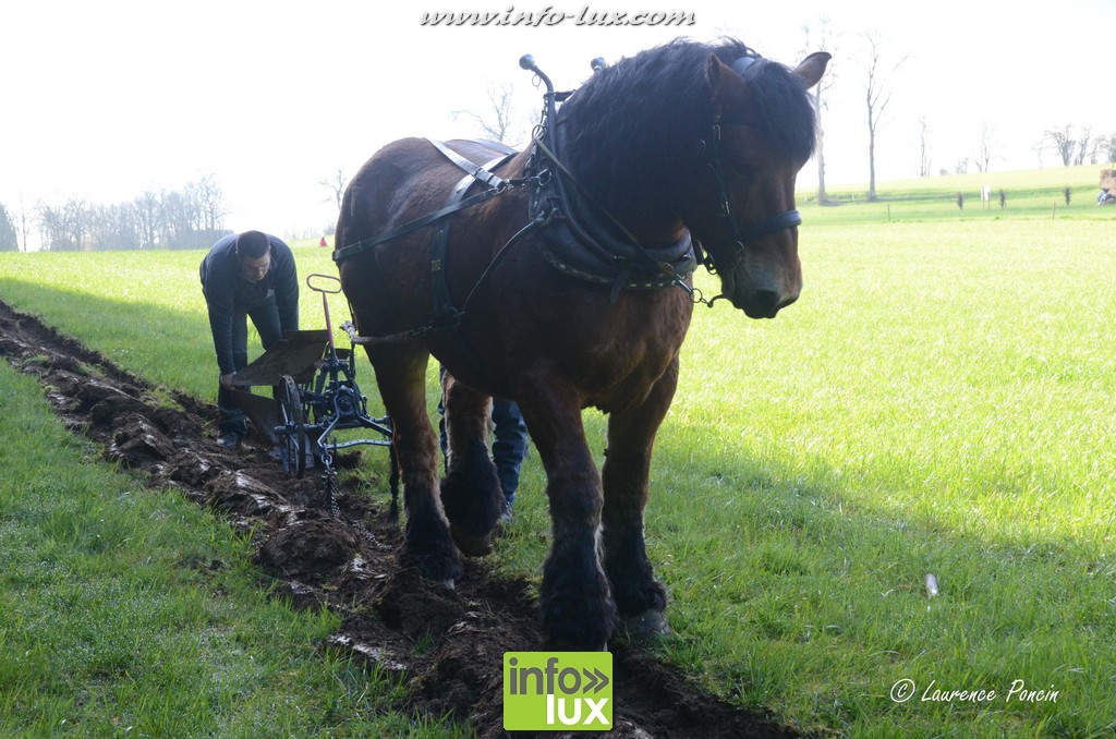 La fête du labour à Behême – Léglise