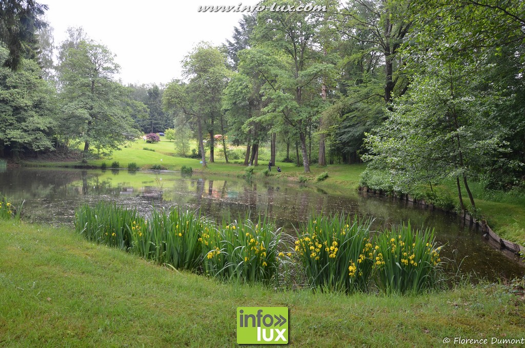 Photos de Chiny au jardin.