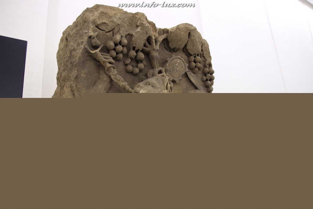 images/stories/PHOTOSREP/2016Mai/Archeologie/archeologique0028