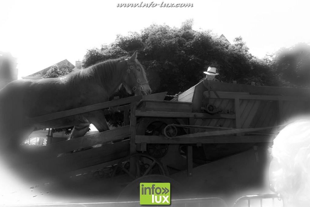 images/stories/PHOTOSREP/2016Aout/1900-Marche/1900-Marche059