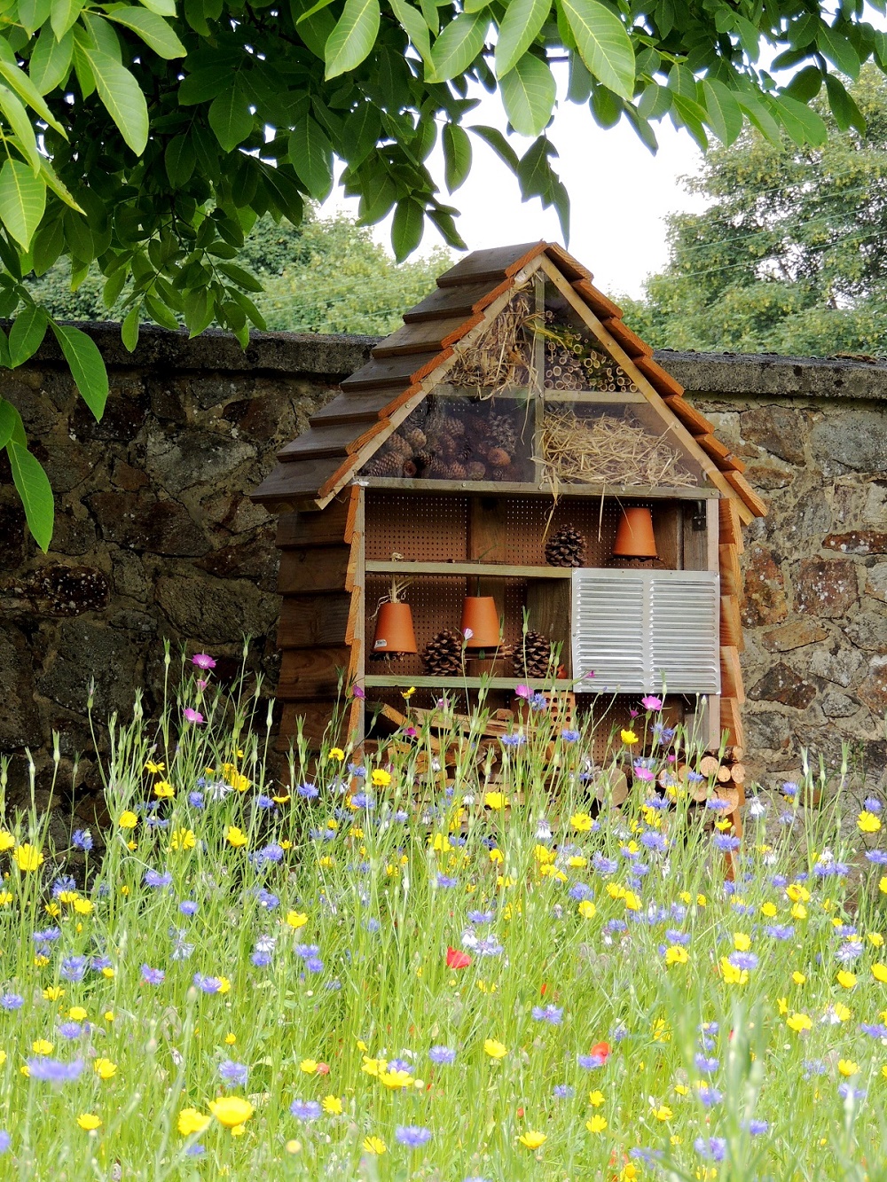 Instinct nature libramont