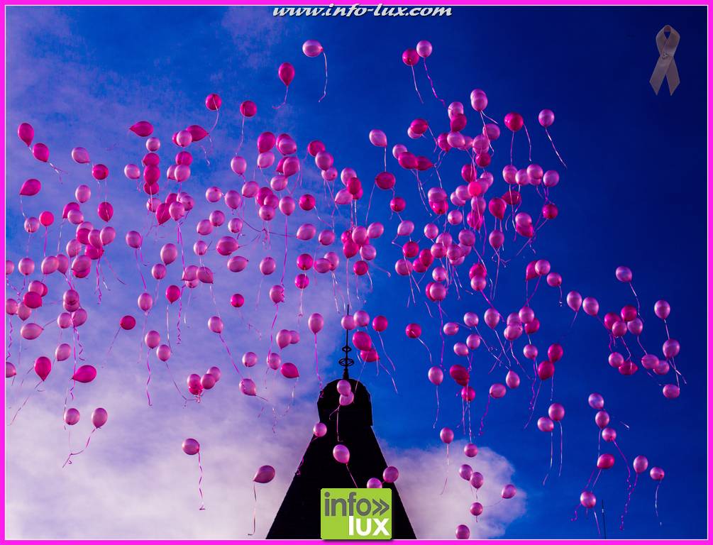 Pink Ribbon : La roche en Ardenne