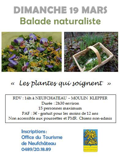 Balade Naturaliste à Neufchâteau