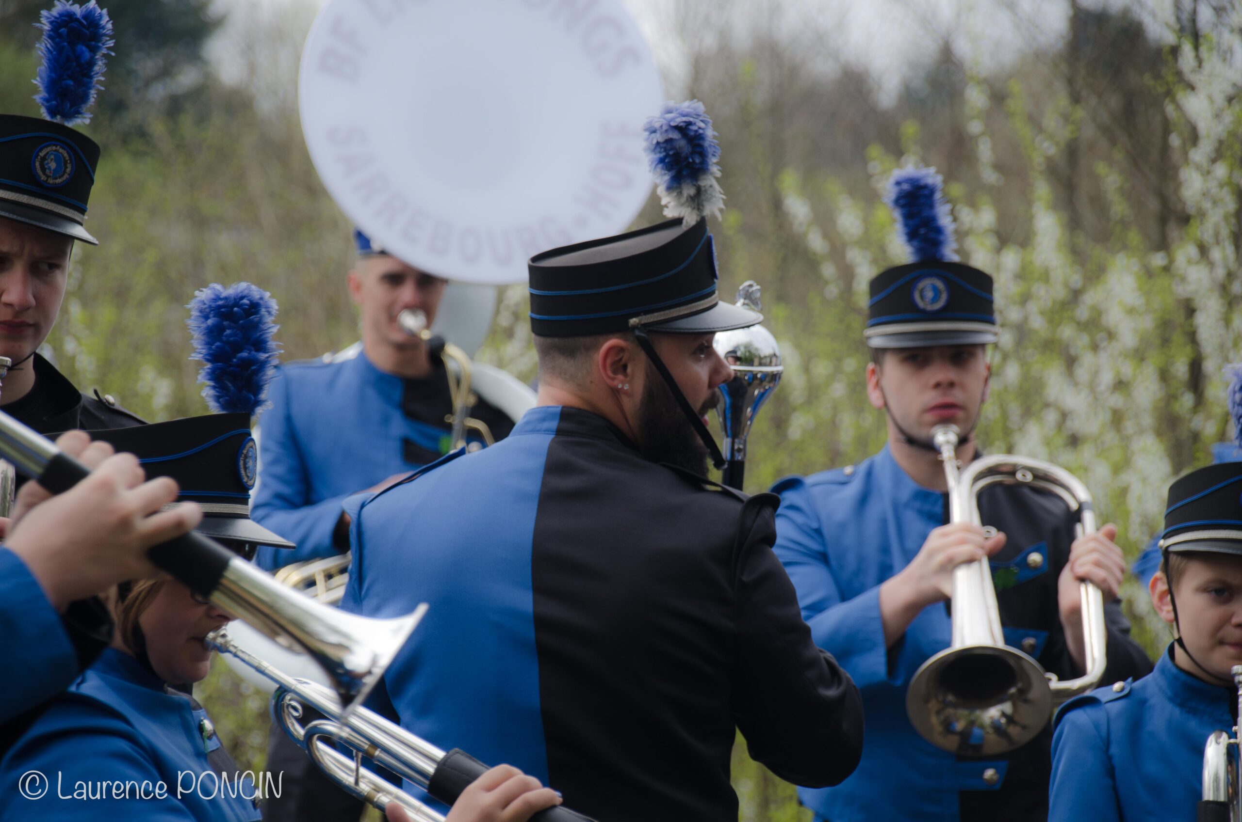 //media/jw_sigpro/users/0000002529/carnavalhabay2017/DSC_9630-1