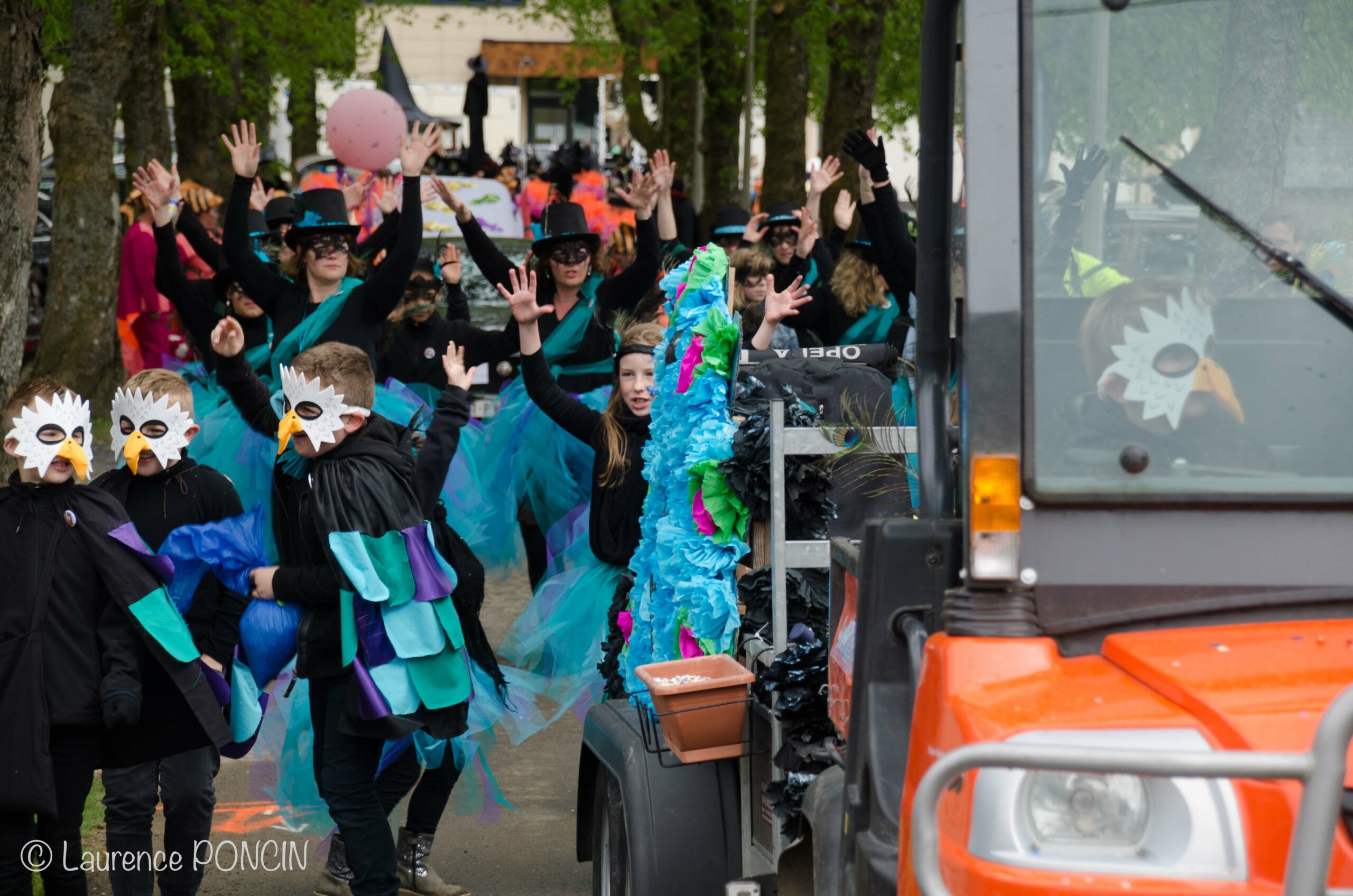 //media/jw_sigpro/users/0000002529/carnavalhabay2017/DSC_9642-1