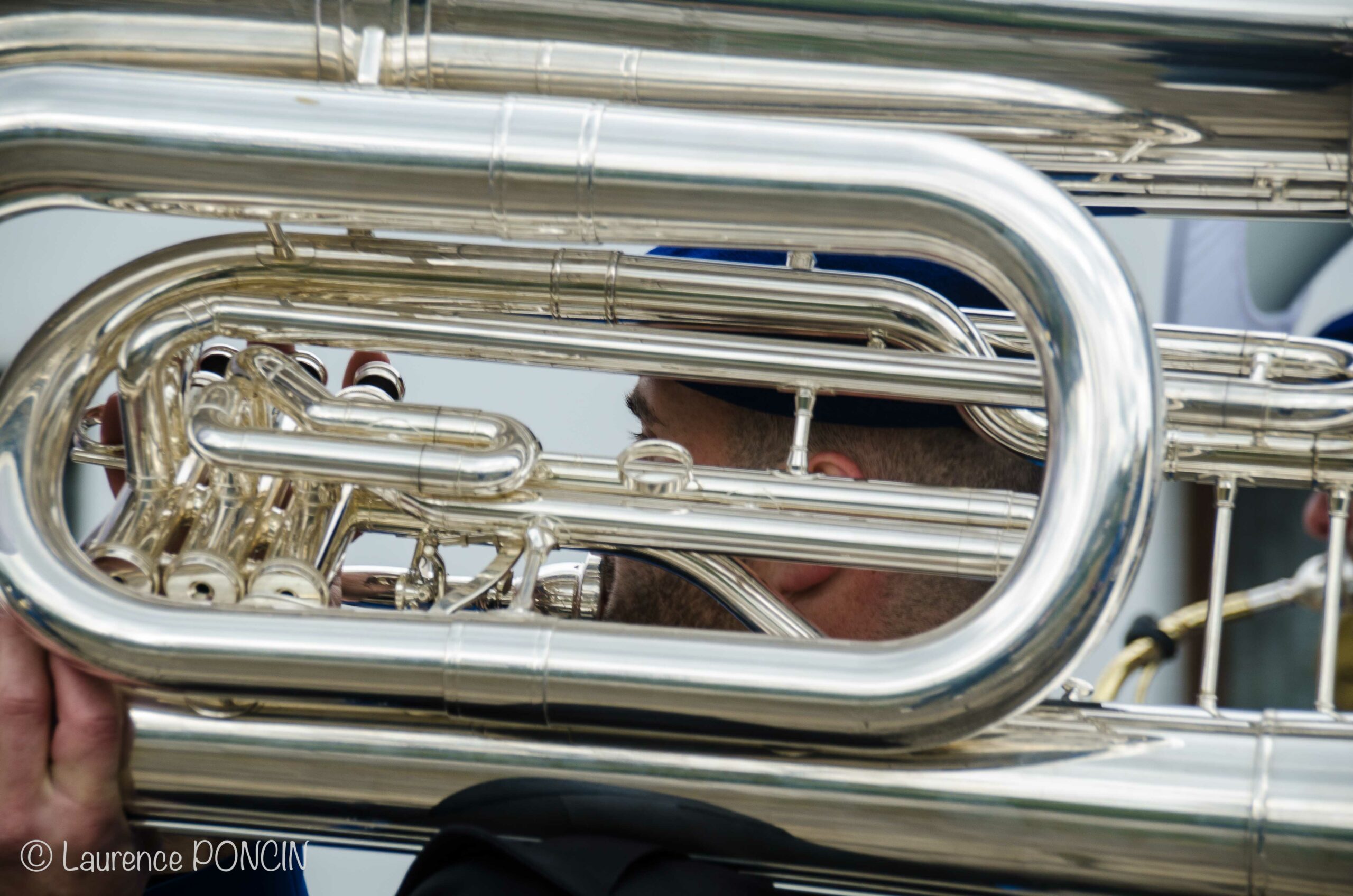 //media/jw_sigpro/users/0000002529/carnavalhabay2017/DSC_9657-1