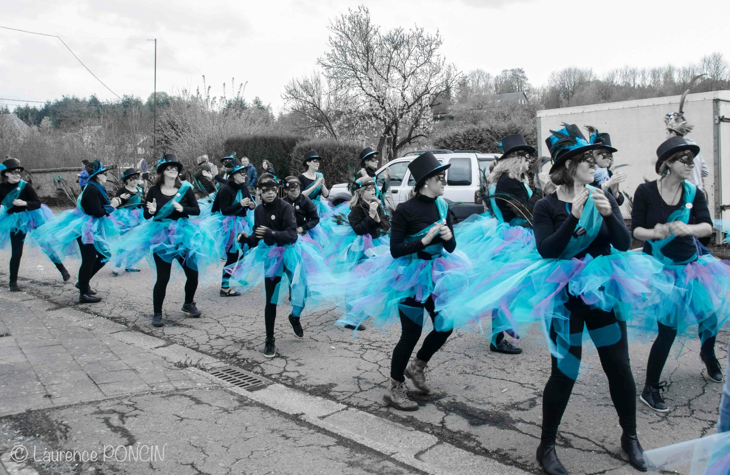 //media/jw_sigpro/users/0000002529/carnavalhabay2017/DSC_9733-1