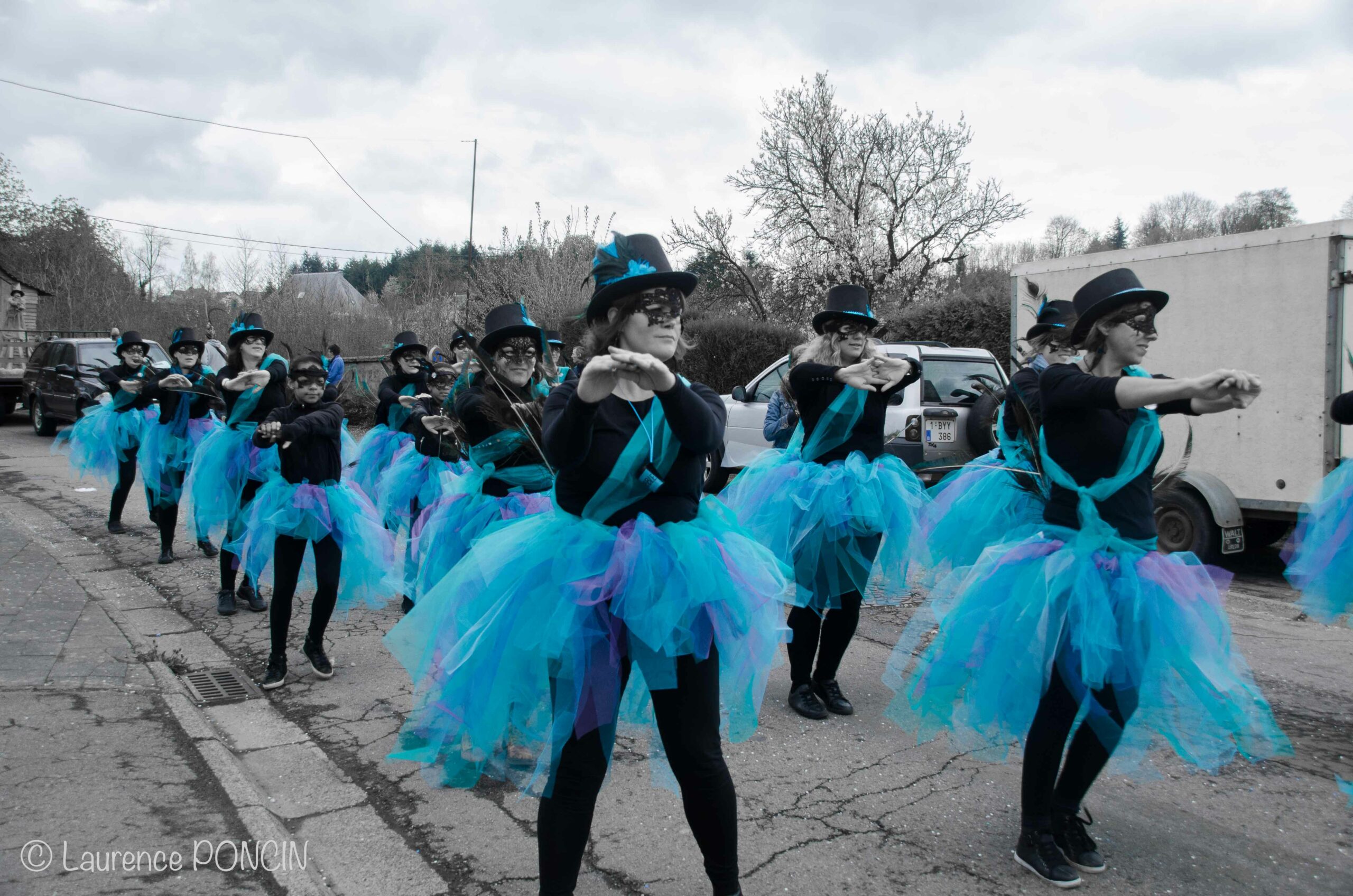 //media/jw_sigpro/users/0000002529/carnavalhabay2017/DSC_9735-1