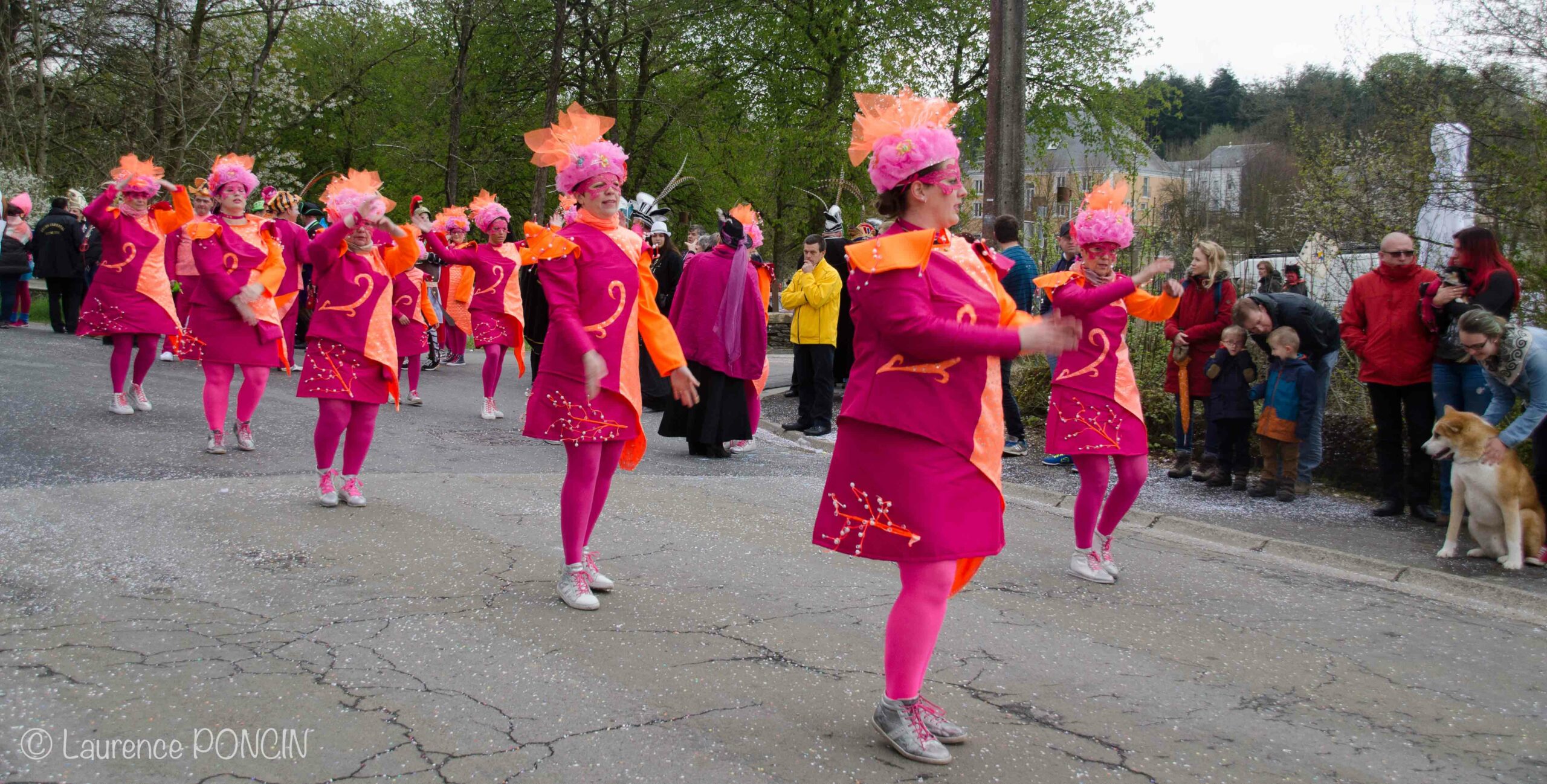 //media/jw_sigpro/users/0000002529/carnavalhabay2017/DSC_9736-1