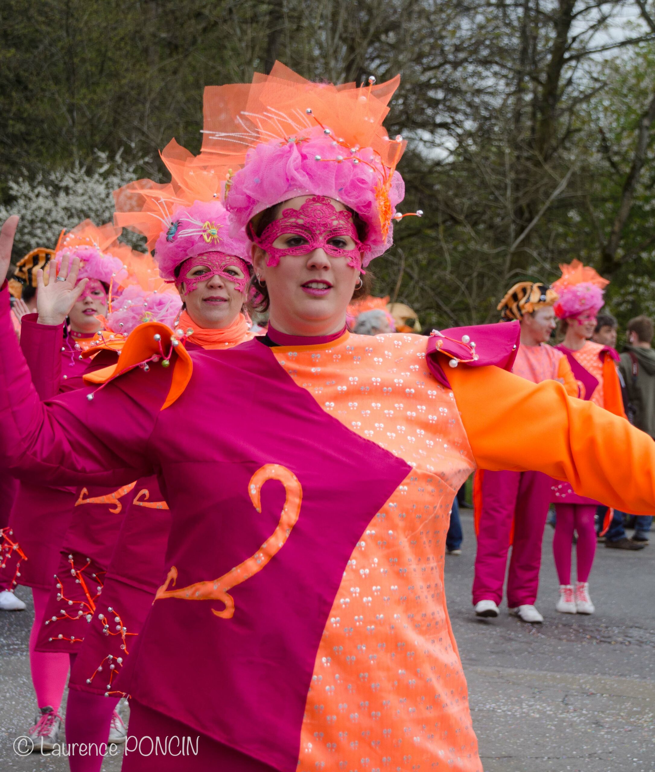 //media/jw_sigpro/users/0000002529/carnavalhabay2017/DSC_9739-1
