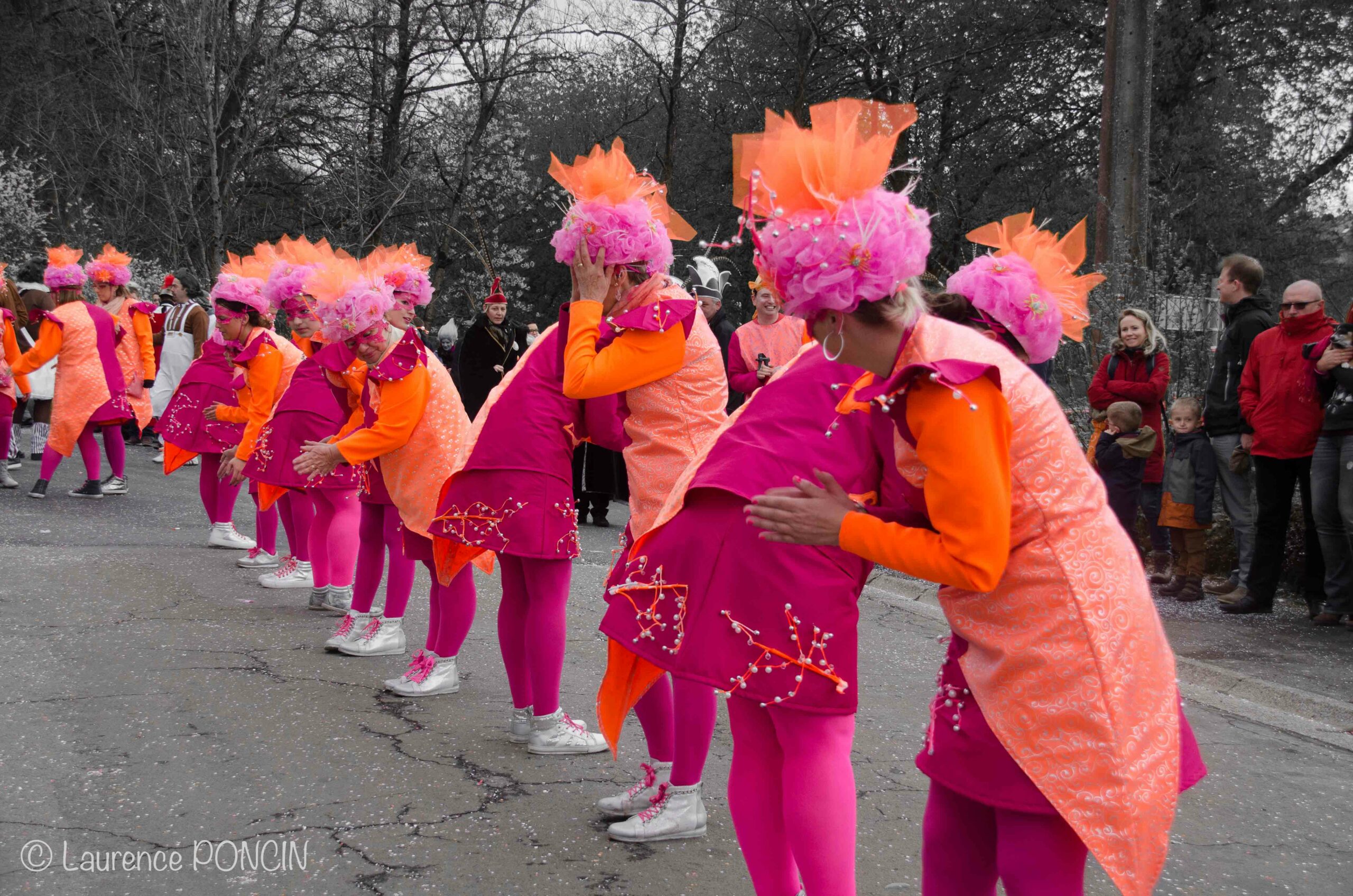 //media/jw_sigpro/users/0000002529/carnavalhabay2017/DSC_9741-1