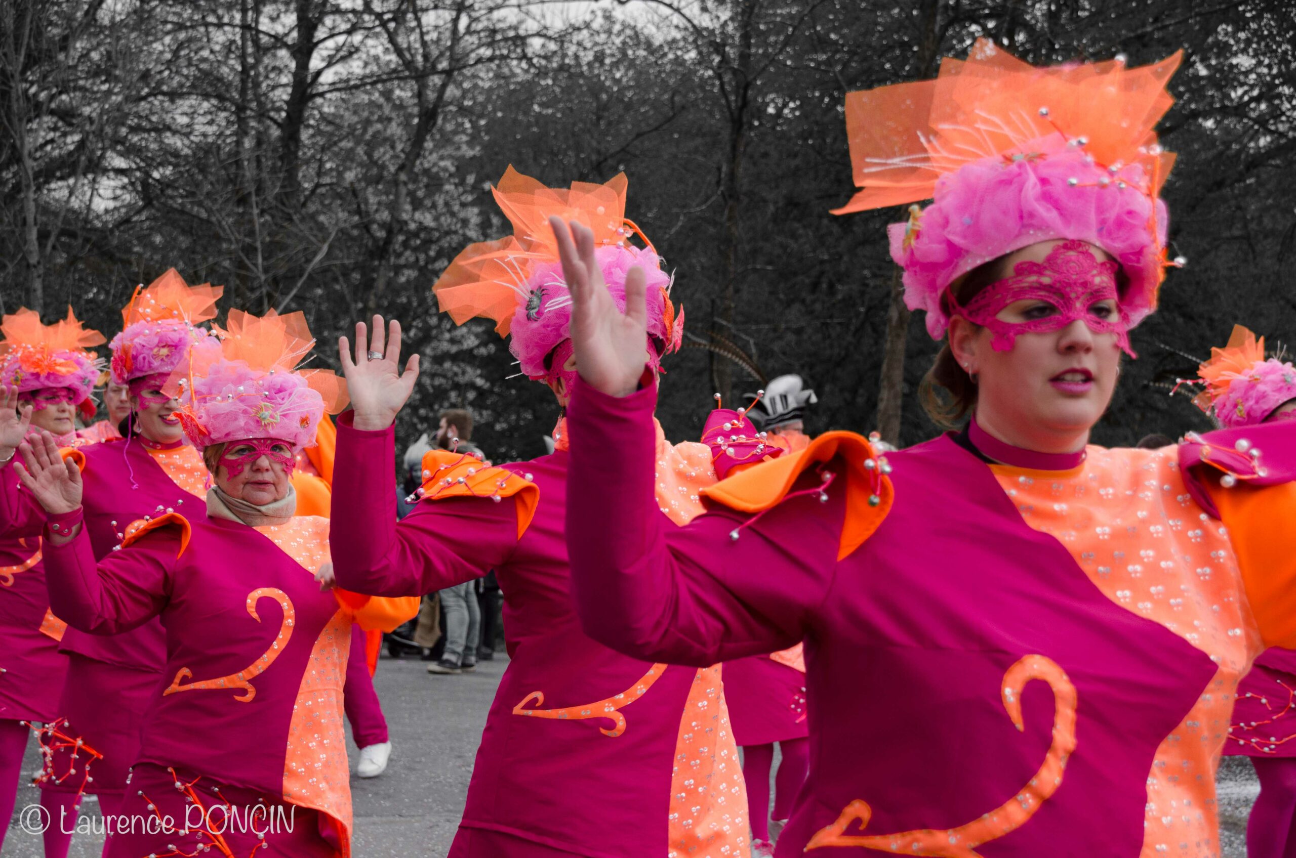 //media/jw_sigpro/users/0000002529/carnavalhabay2017/DSC_9743-1