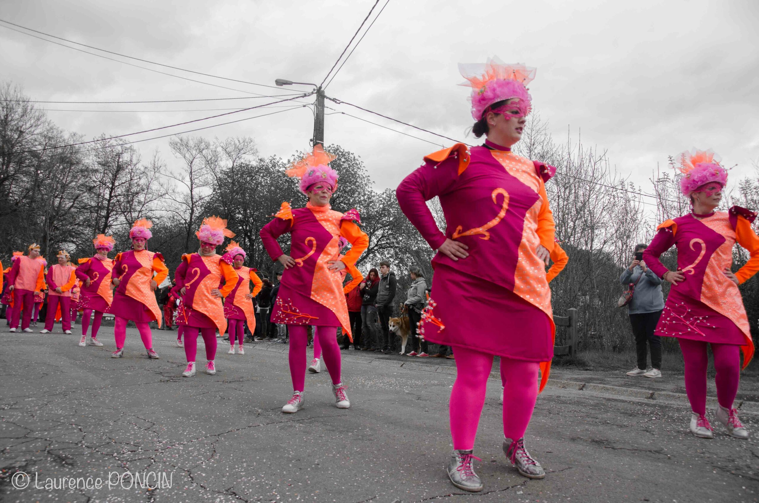 //media/jw_sigpro/users/0000002529/carnavalhabay2017/DSC_9744-1