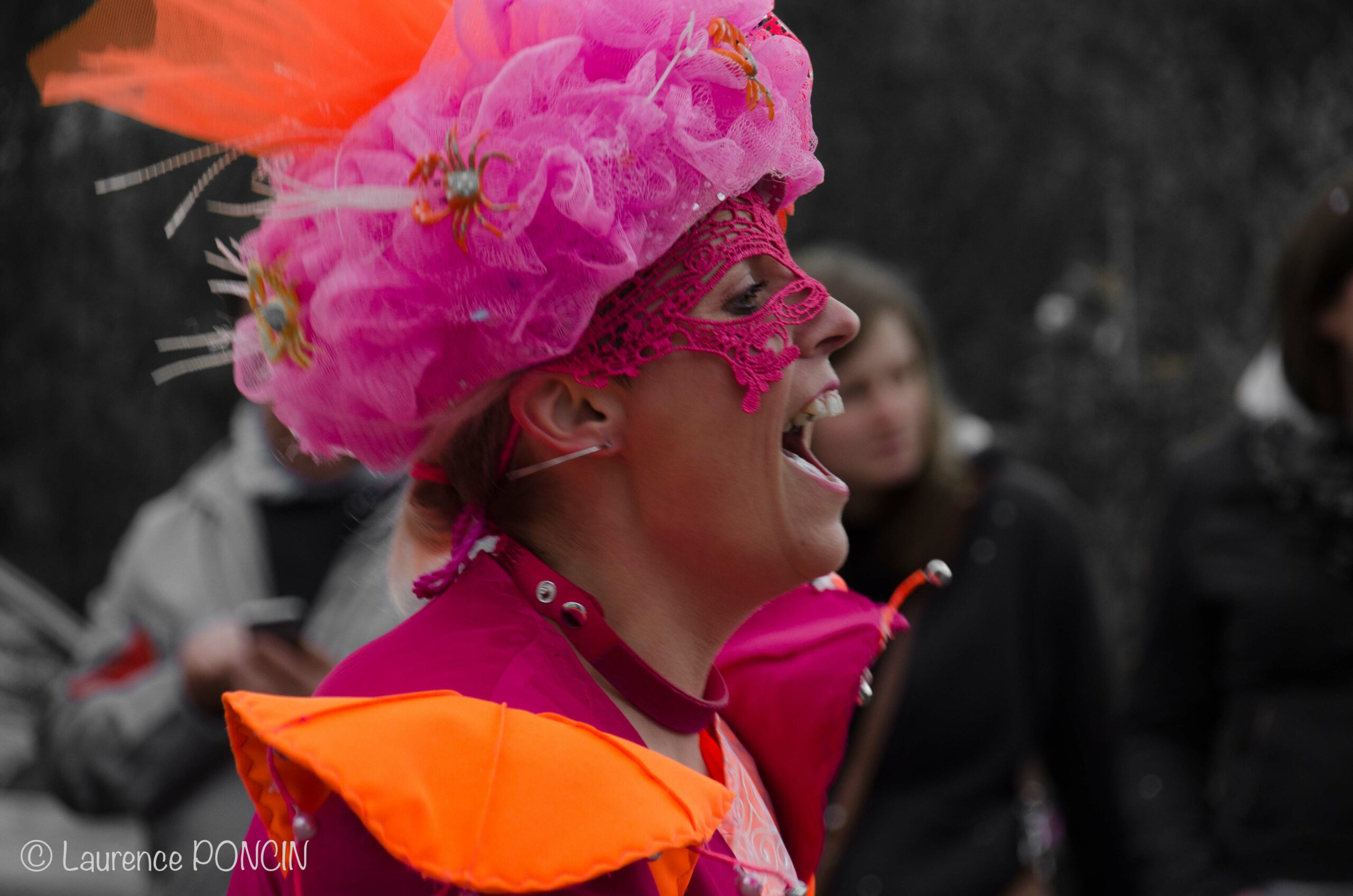 //media/jw_sigpro/users/0000002529/carnavalhabay2017/DSC_9753-1