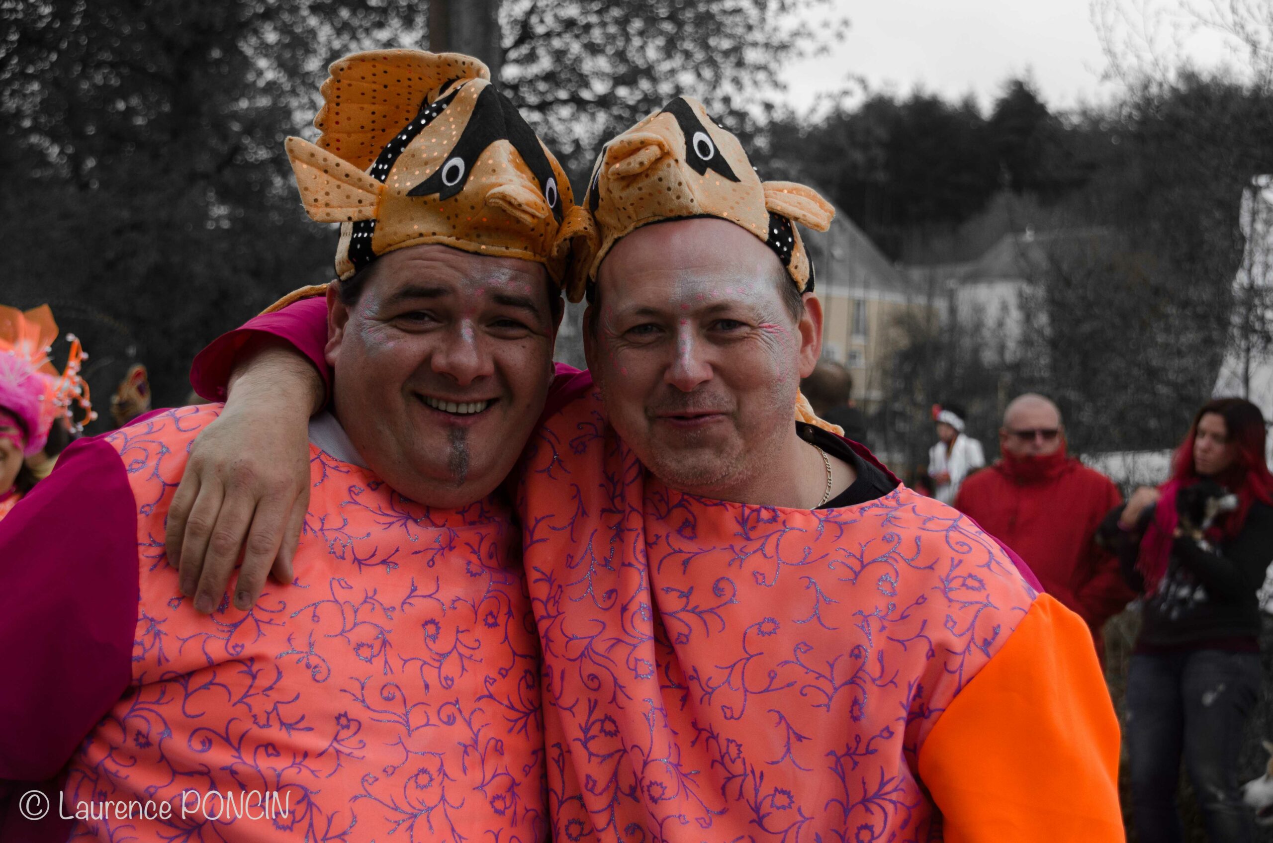 //media/jw_sigpro/users/0000002529/carnavalhabay2017/DSC_9754-1