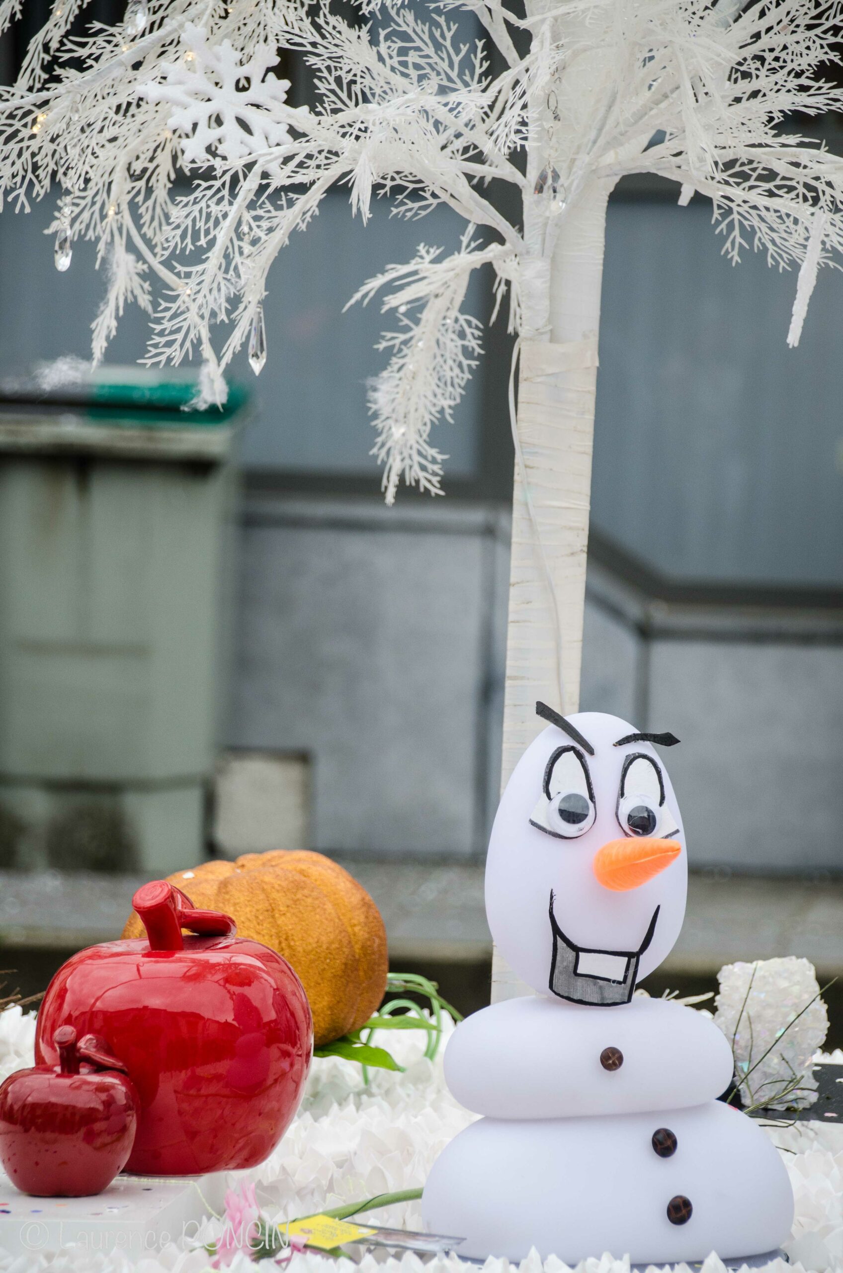 //media/jw_sigpro/users/0000002529/carnavalhabay2017/DSC_9965-1