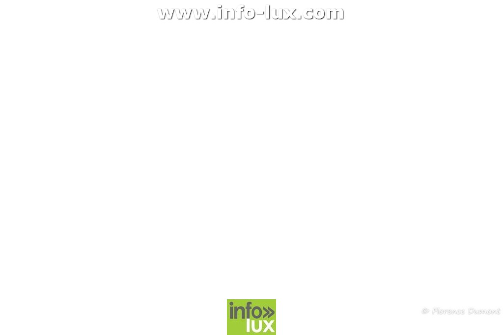 //media/jw_sigpro/users/0000001510/4h de cuistax bertrix/DSC_6021