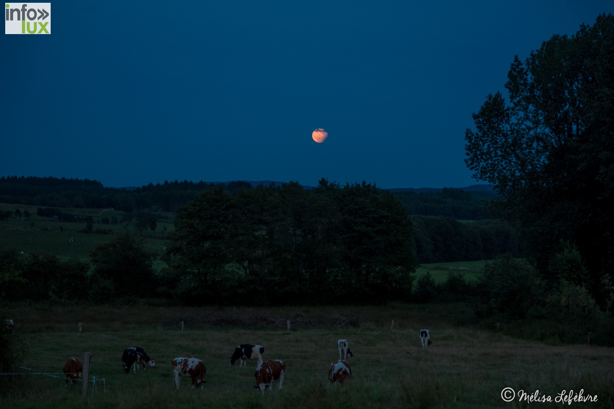 //media/jw_sigpro/users/0000001319/Eclipse de Lune/ecllu2-3
