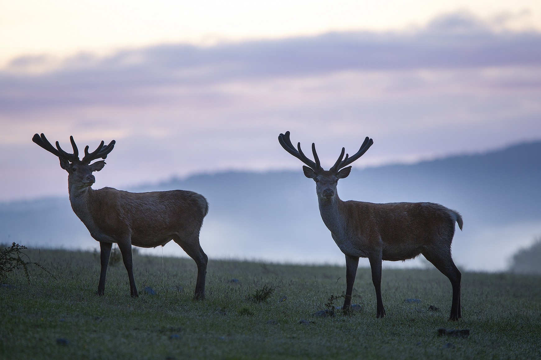 Projection du film documentaire  à Attert