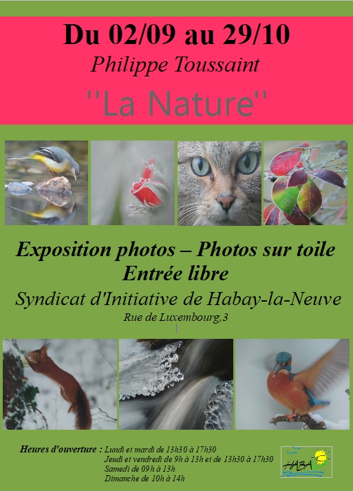 Exposition Philippe Toussaint à Habay