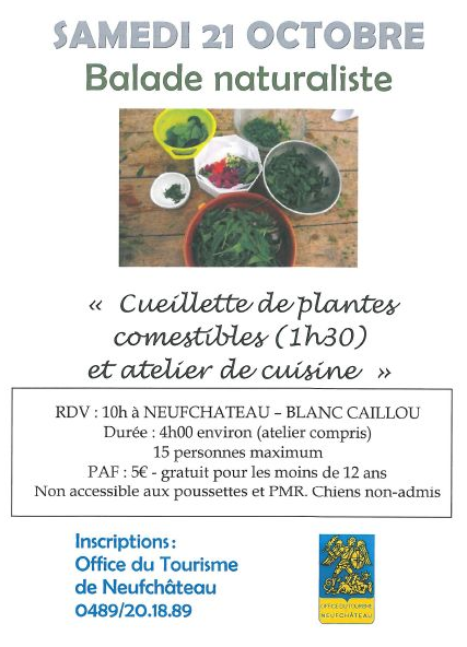 Balade naturaliste à Neufchateau