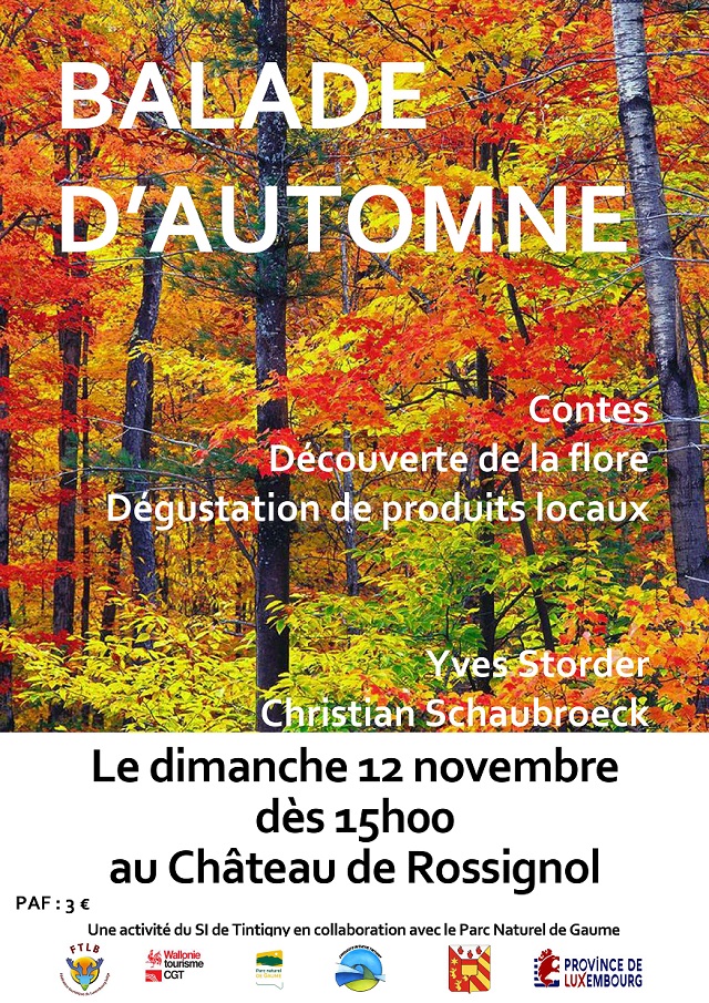 Balade d’automne en Gaume