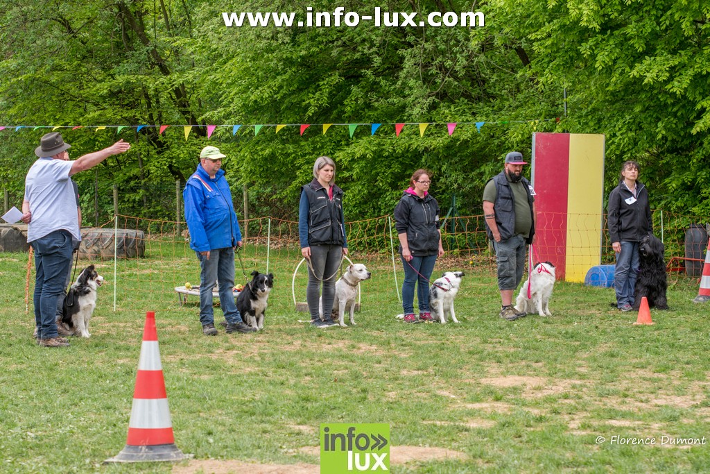 Concours ring belge au club canin Florenville