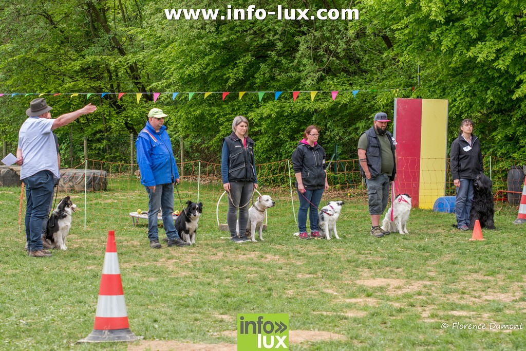 concours club canin florenville