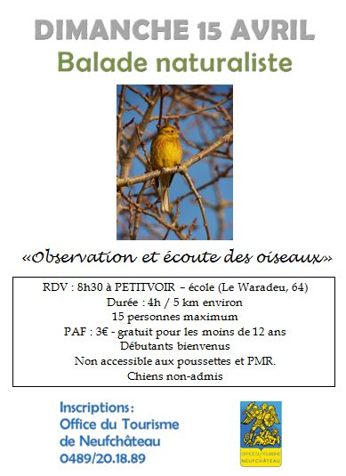 Balade naturaliste à Neufchateau