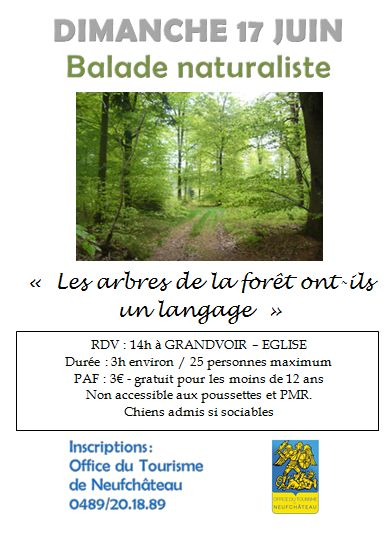 Balade naturaliste Neufchâteau