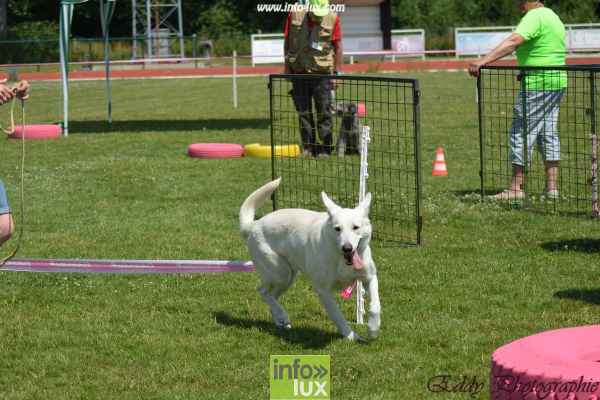 images/2018stmardcanin/Stmardcanin0001