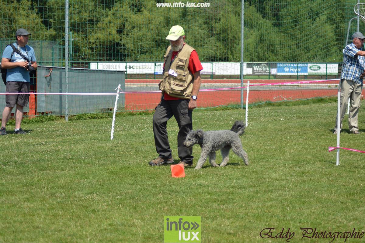 images/2018stmardcanin/Stmardcanin0002