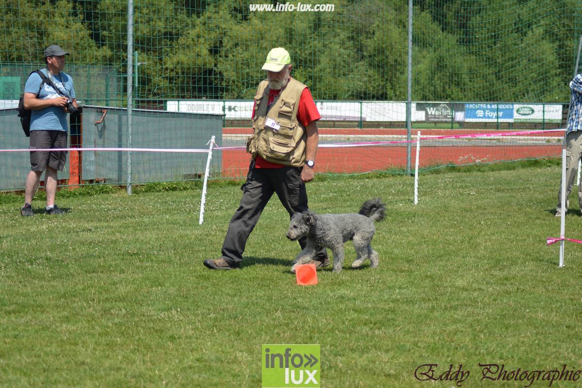 images/2018stmardcanin/Stmardcanin0003