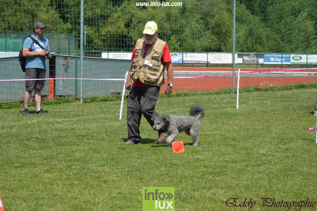 images/2018stmardcanin/Stmardcanin0004