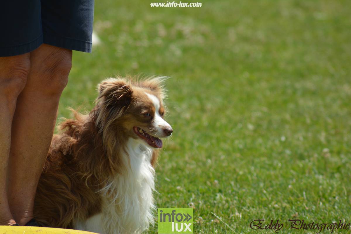 images/2018stmardcanin/Stmardcanin0009