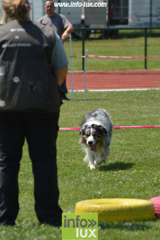 images/2018stmardcanin/Stmardcanin0013