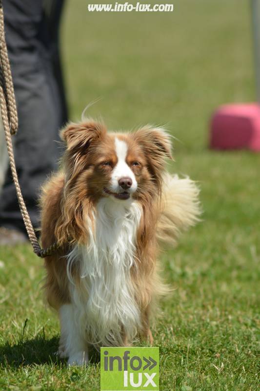 images/2018stmardcanin/Stmardcanin0022